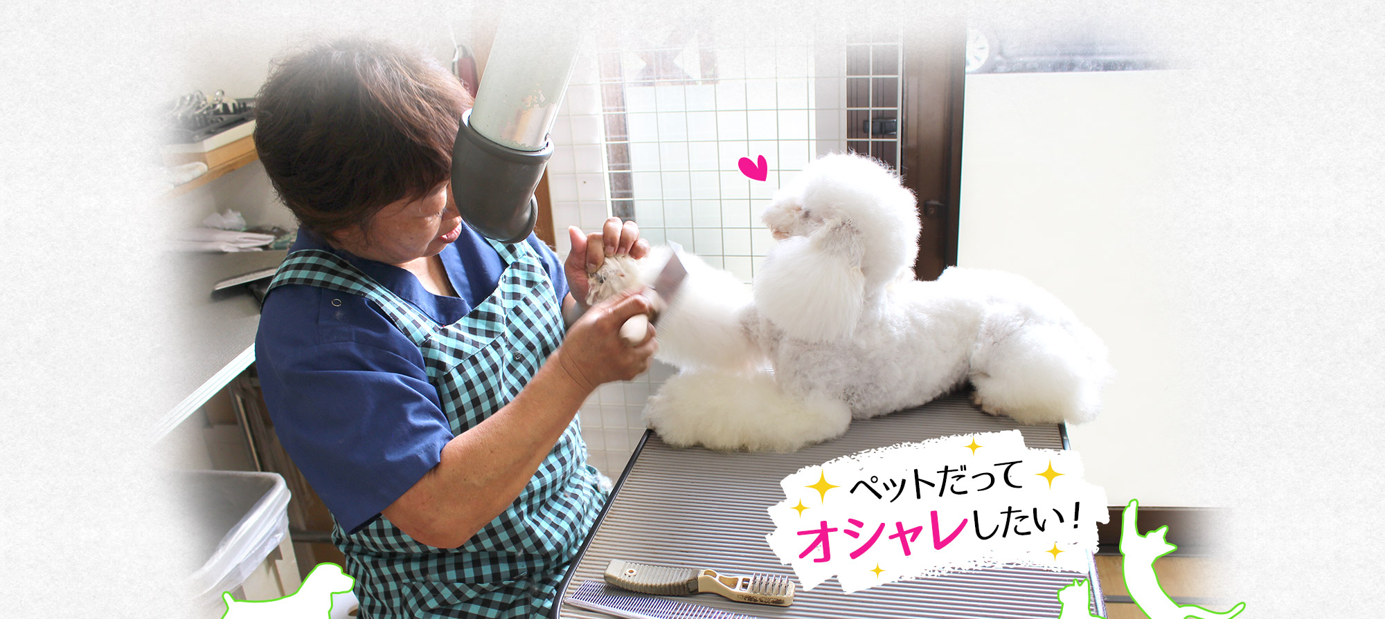 ペットだってオシャレしたい！