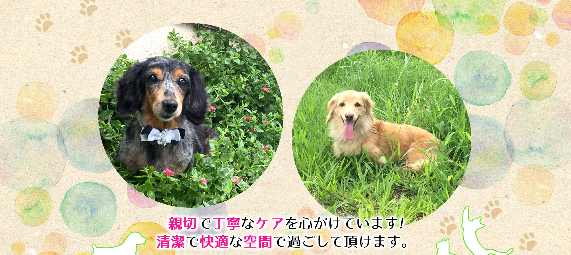 親切で丁寧なケアを心がけています!　清潔で快適な空間で過ごして頂けます。